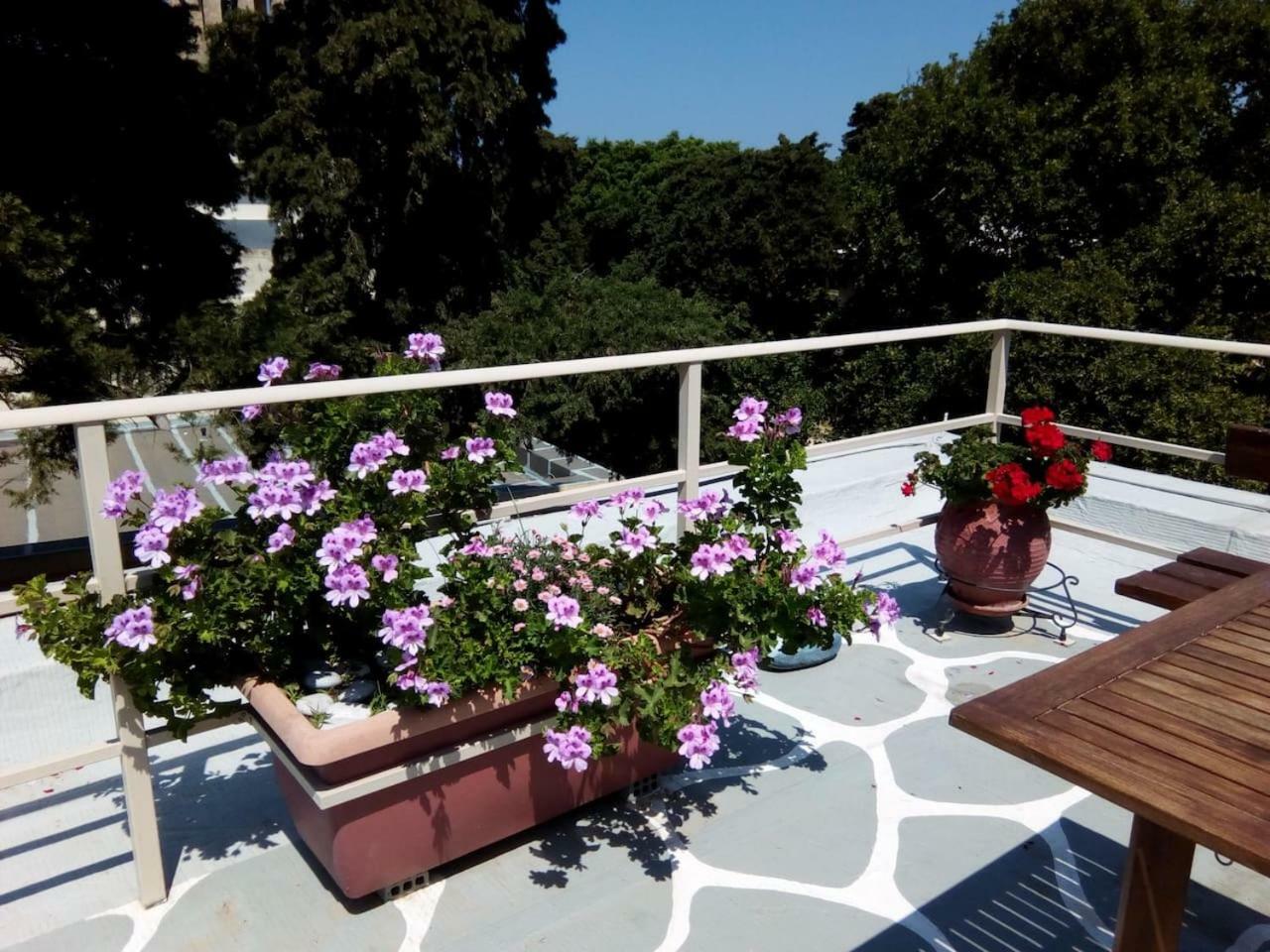 Park House -Beside The Medieval Town Of Rhodes Rhodes City Eksteriør billede